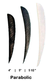 Parabolic fletch