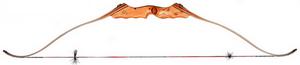 HYPERFLIGHT Take-down High Performance Limbs Bow