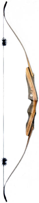 Galaxy Sage Elite Recurve Bow back