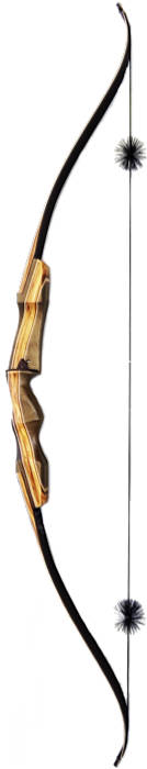 Galaxy Sage Elite Recurve Bow