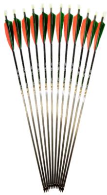 Carbon Arrows Carbon Arrows