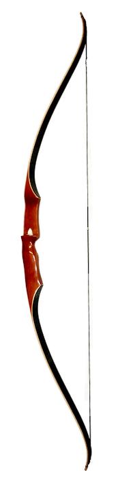 Shakespeare Custer X22 Recurve
